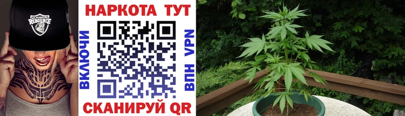 Все наркотики Тайшет Героин  OMG маркетплейс  Кокаин  Каннабис 