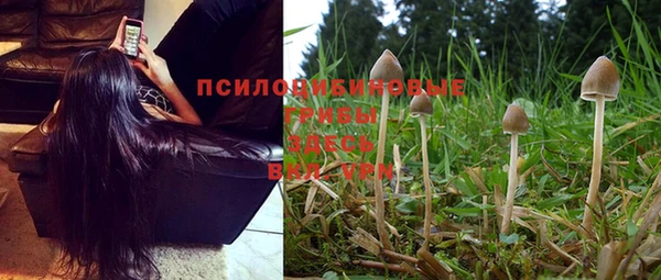 винт Покров