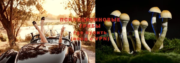 прущая мука Покачи