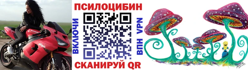 купить сайты Тайшет Псилоцибиновые грибы мухоморы