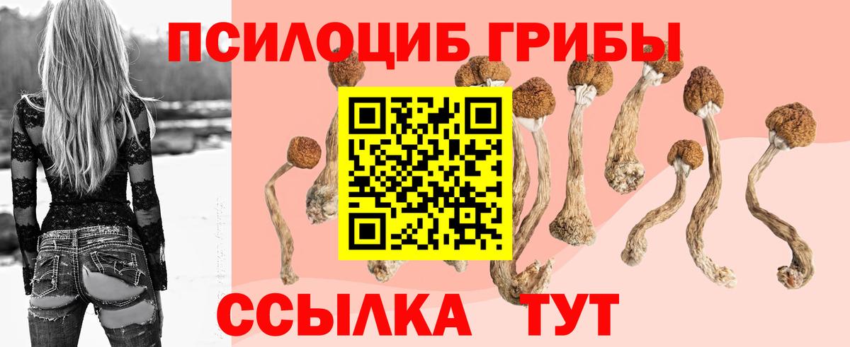 Псилоцибиновые грибы мицелий  Вход с VPN  Тайшет 